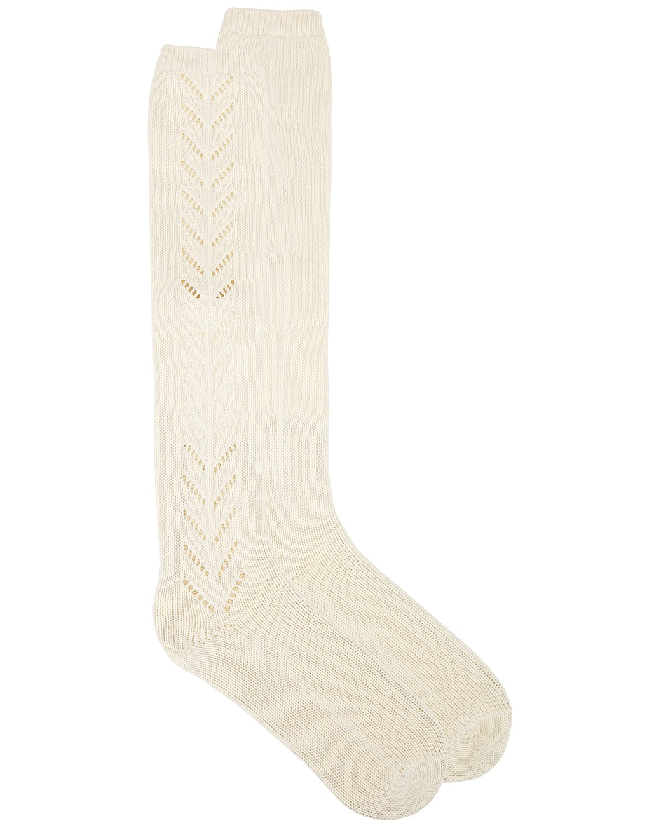 Image 1 of Valentino Cotton Socks in Betulla