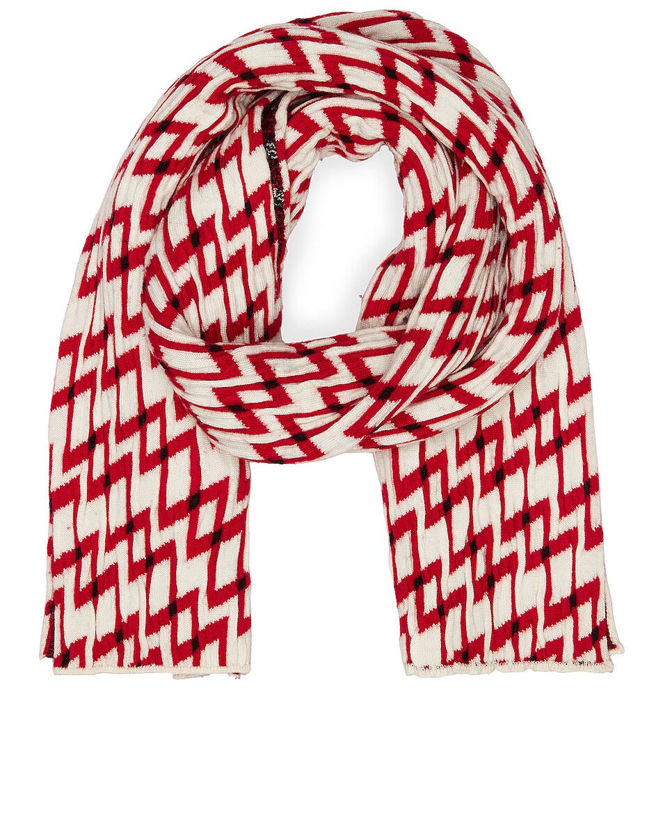 Image 1 of Zankov Dema Knit Scarf in Crimson & Ivory