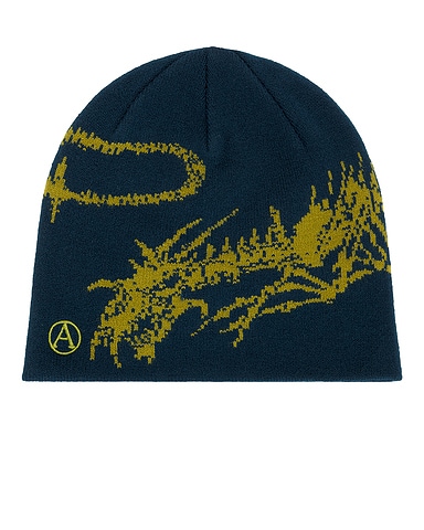 Skeletor Skull Beanie