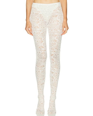 Cassia Lace Stockings