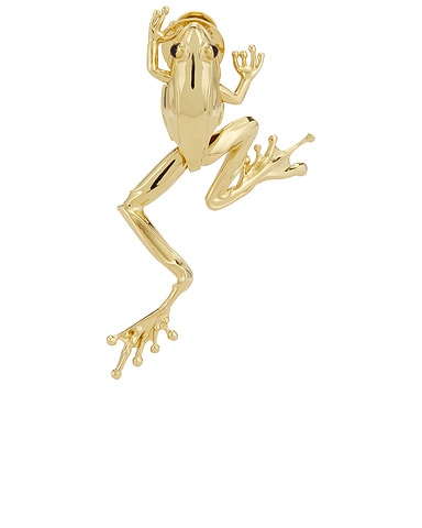 Frog Brooch