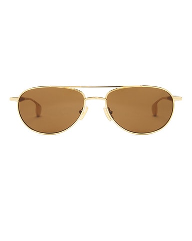 Aviator Sunglasses