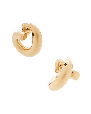 Small Sardine Earrings