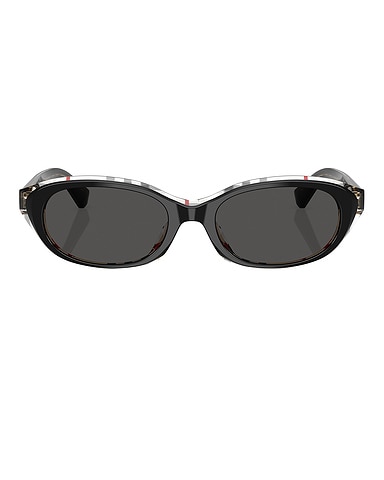 Oval Sunglasses