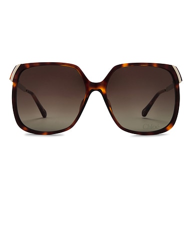 Aly Sunglasses