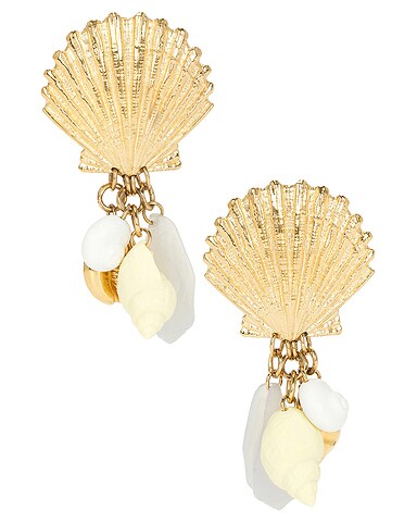 Shell Earring in Gold
