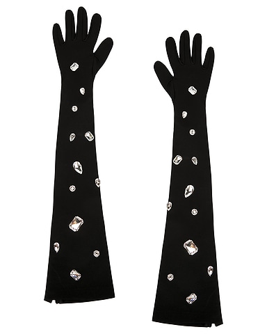 All Over Crystal Embroidered Long Gloves