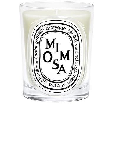 Mimosa Classic Candle