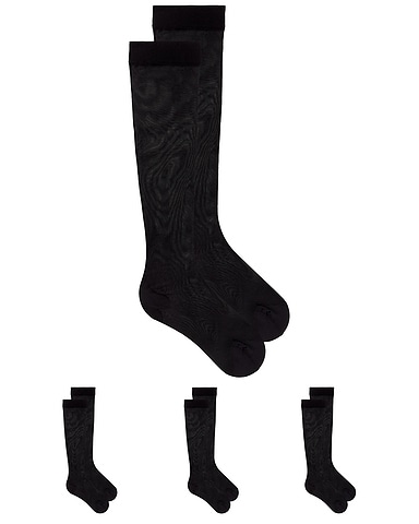3-Pack Hosiery