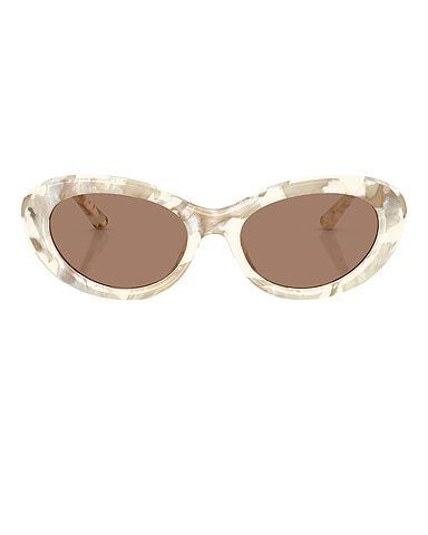 Oval Sunglasses