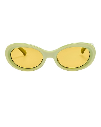 Oval Sunglasses