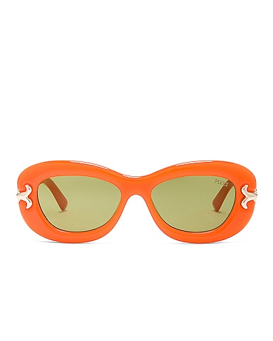 Oval Acetate Sunglasses