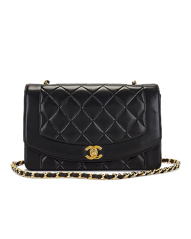 Chanel Lambskin Vintage Diana Flap Bag