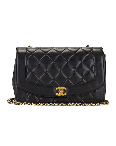 Chanel Lambskin Vintage Diana Flap Bag
