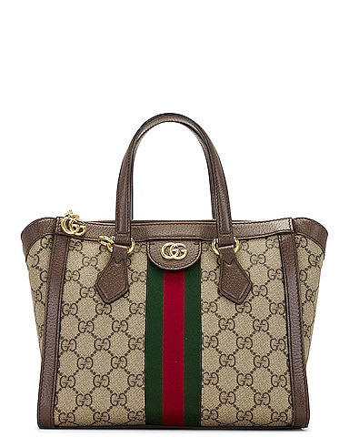Gucci Ophidia 2 Way Bag