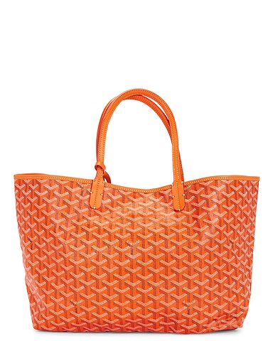 Goyard Saint Louis PM Tote Bag