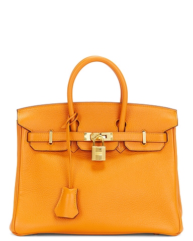 Hermes Togo Birkin 25 Handbag