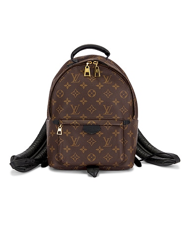 Louis Vuitton Palm Springs PM Backpack