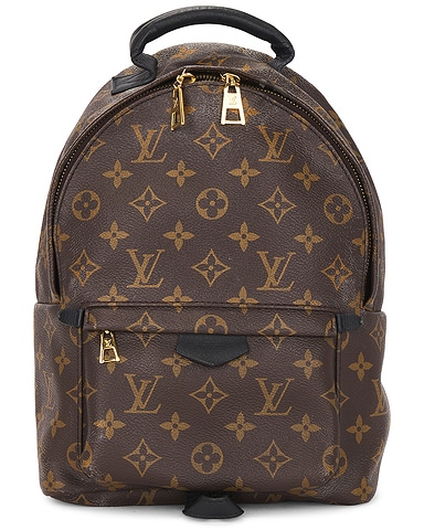 Louis Vuitton Palm Springs PM Backpack