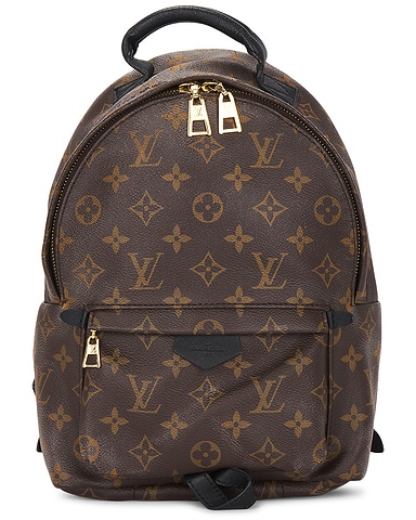 Louis Vuitton Palm Springs PM Backpack