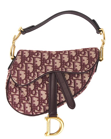 Dior Oblique Trotter Mini Saddle Bag