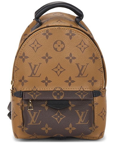 Louis Vuitton Monogram Palm Springs NM Mini Backpack