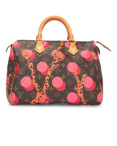 Louis Vuitton Limited Edition Grenade Ramages Speedy 30 Handbag