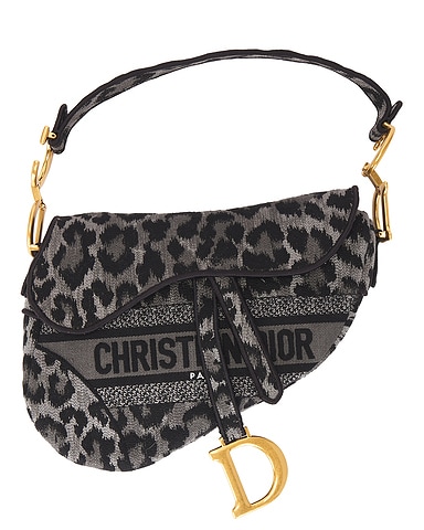 Dior Mizza Embroidered Saddle Bag