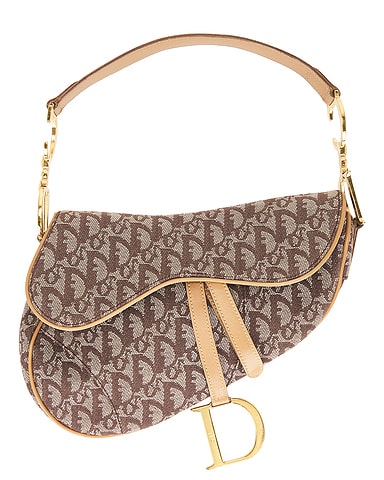Dior Saddle Bag