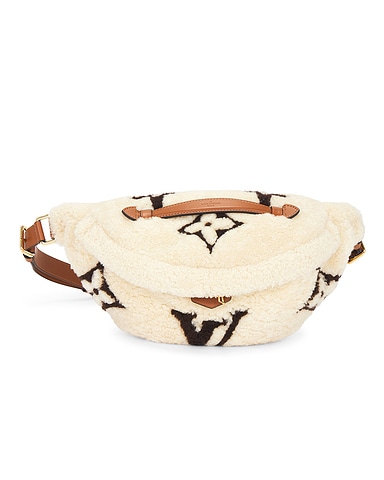 Louis Vuitton Monogram Teddy Bum Bag