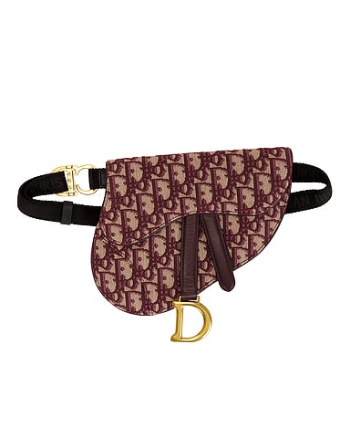 Dior Saddle Belt Bag