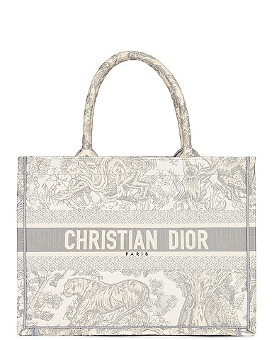 Dior Book Tote Bag