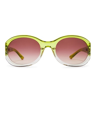 Oval Acetate Sunglasses