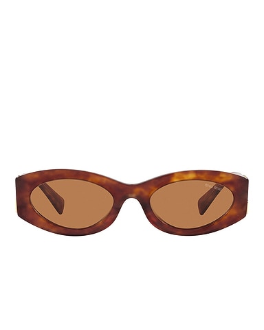 Oval Sunglasses