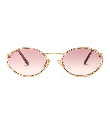 Oval Sunglasses