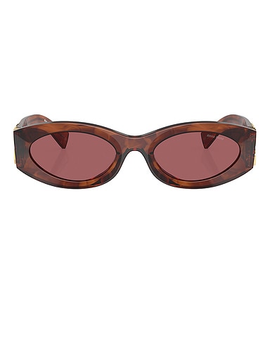 Oval Sunglasses