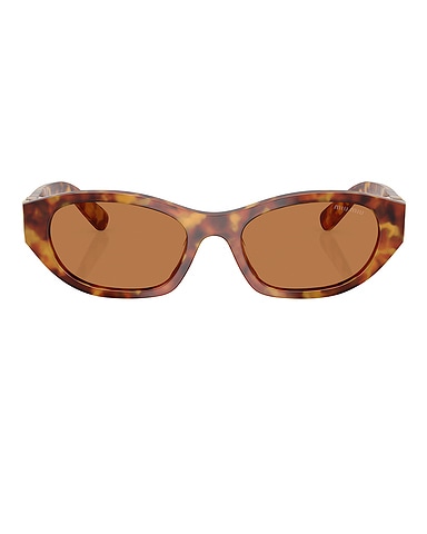 Oval Sunglasses