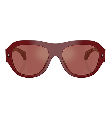 Elevane Sunglasses