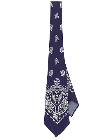 Bandana Print Woven Neck Tie
