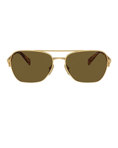Aviator Sunglasses