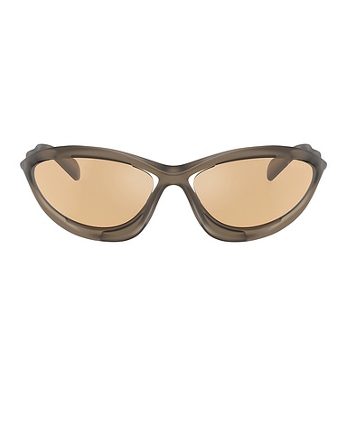Oval Sunglasses