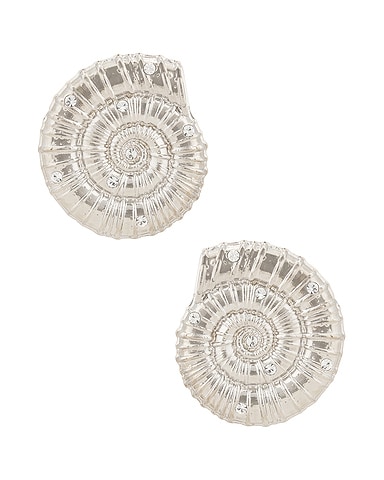 Conch Shell Earrings