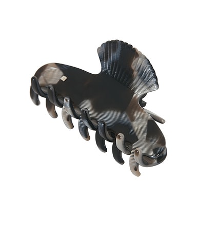 Small Fan Shell Hair Claw