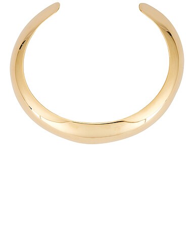 Horn Torque Necklace