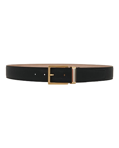 Metal Loop Belt