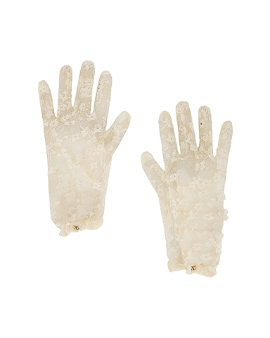 V Logo Signature Gloves