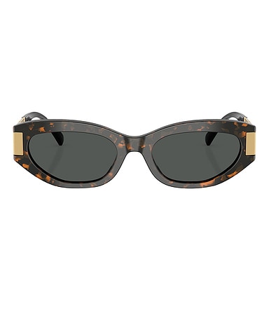 Oval Sunglasses