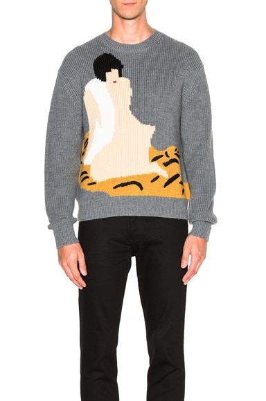 Cropped Novelty Intarsia Pullover