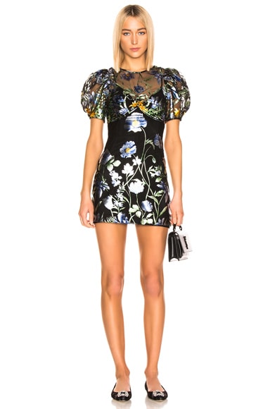Alice mccall some kind of beautiful clearance