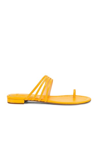 Women S Sale Alexandre Birman Sandals Shoes Sandals